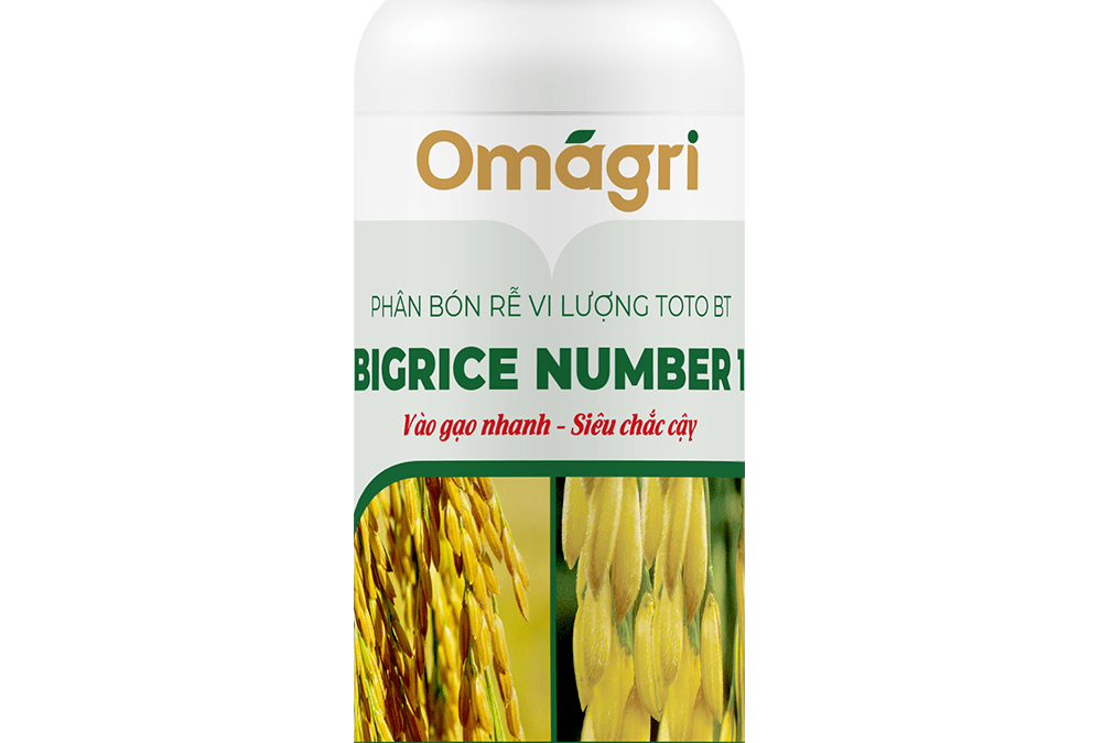 Bigrice Number 1 – 500ml